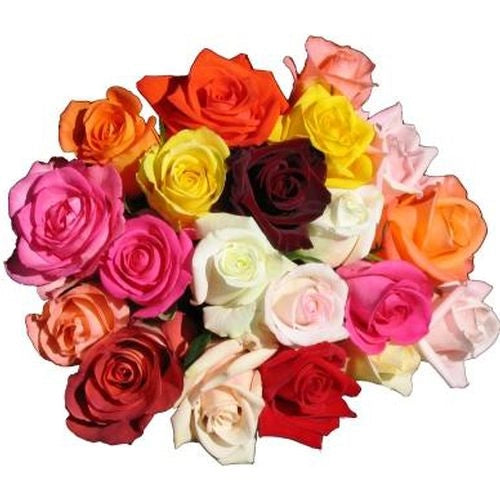 Roses Emballées à l'unité